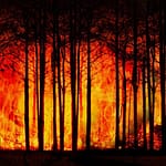 Creek Fire Containment has Been Pushed Back Again to December 31st
