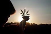 Cannabis Retail Landscape To Be Accepted With New Approach