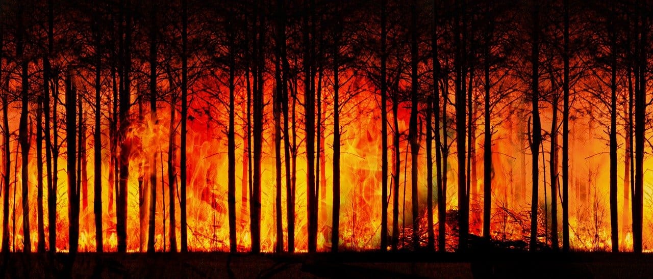 You are currently viewing Creek Fire Containment Has Been Pushed Back Again